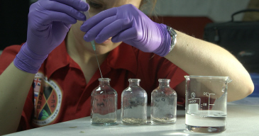 Mars Crew Experiment Article
